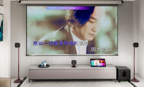 家庭ktv購買攻略 物超所值乃首選,這2款產品值得推薦